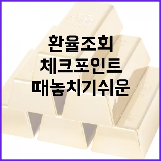 환율조회할 때 놓치기 쉬운 5가지 체크포인트 - 요약