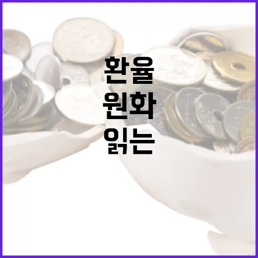 달러환율을 움직이는 5가지 변수와 원화 흐름 읽는 법 - 요약