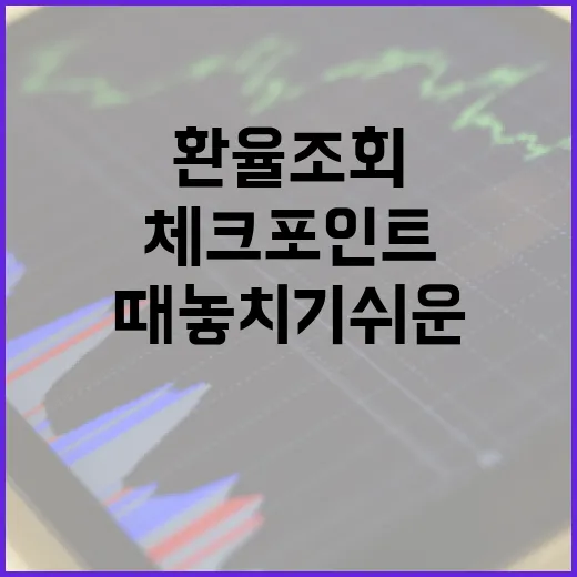 환율조회할 때 놓치기 쉬운 5가지 체크포인트 - 요약