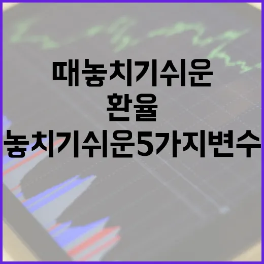 중국환율을 볼 때 놓치기 쉬운 5가지 변수 - 요약