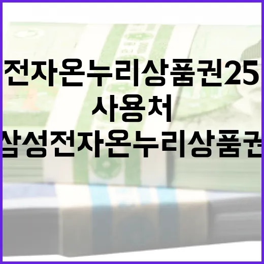 삼성전자 온누리상품권 25만원, 사용처 고르는 5가지 기준 - 요약