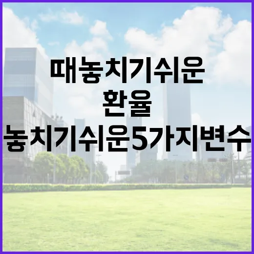 필리핀환율을 볼 때 놓치기 쉬운 5가지 변수 - 요약