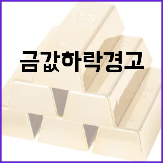 금값 하락 경고를 읽을 때 봐야 할 5가지 변수 - 요약