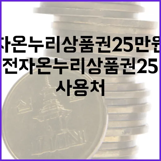 삼성전자 온누리상품권 25만원 사용처 5가지와 헷갈리는 포인트 - 요약