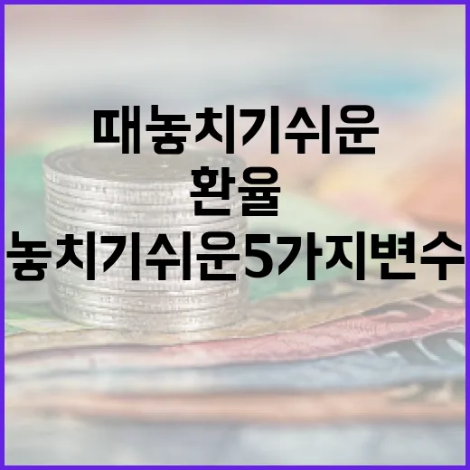베트남환율을 볼 때 놓치기 쉬운 5가지 변수 - 요약