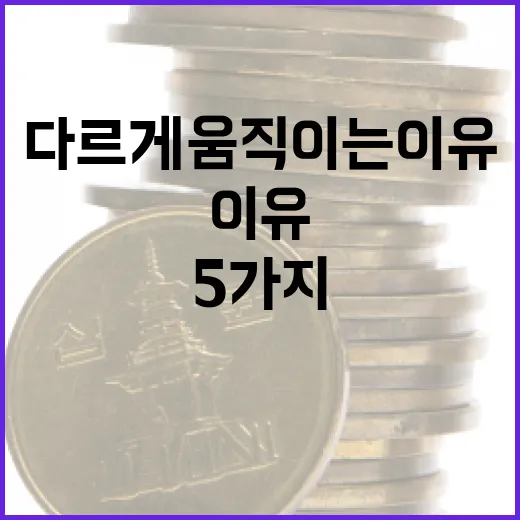 대만환율을 읽는 5가지 기준, 원화와 다르게 움직이는 이유 - 요약