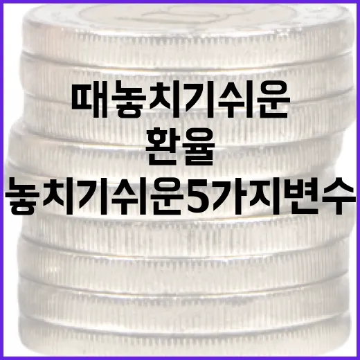홍콩환율을 볼 때 놓치기 쉬운 5가지 변수 - 요약