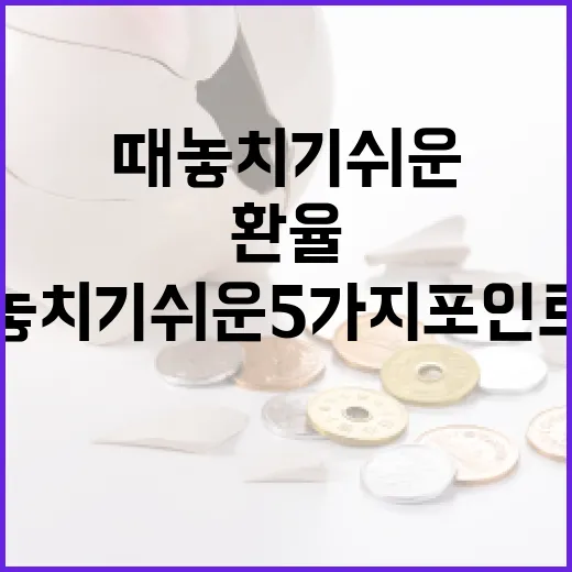 대만환율을 볼 때 놓치기 쉬운 5가지 포인트 - 요약