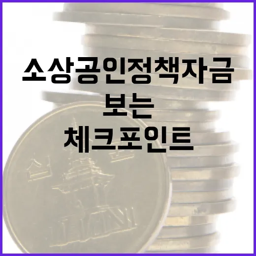 소상공인정책자금 판단 전에 보는 5가지 체크포인트 - 요약