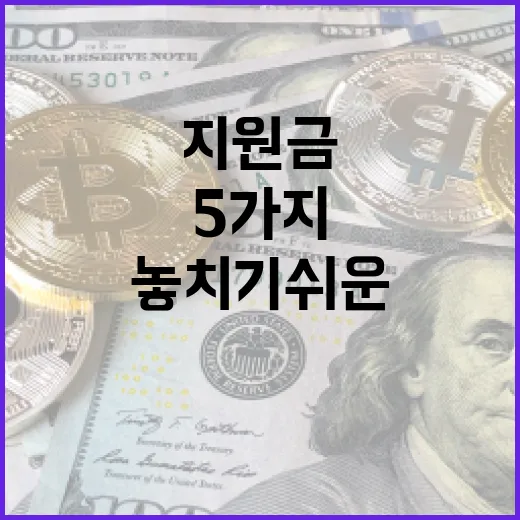 소상공인지원금 볼 때 놓치기 쉬운 5가지 판단 기준 - 요약
