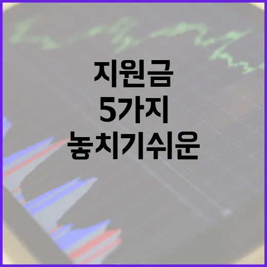 소상공인지원금 볼 때 놓치기 쉬운 5가지 판단 기준 - 요약