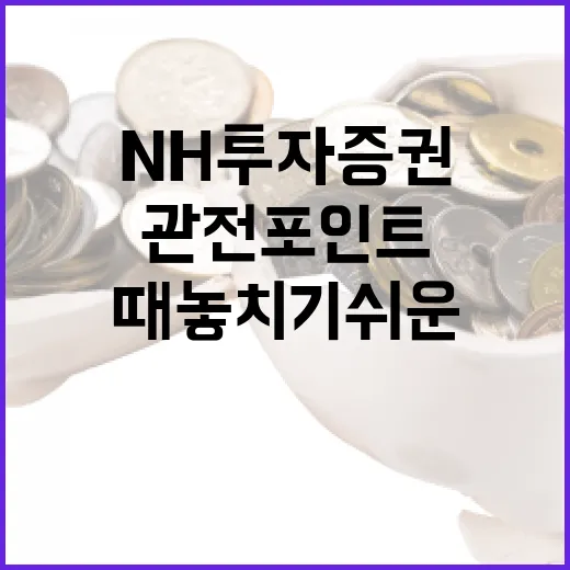 NH투자증권을 볼 때 놓치기 쉬운 5가지 관전 포인트 - 요약