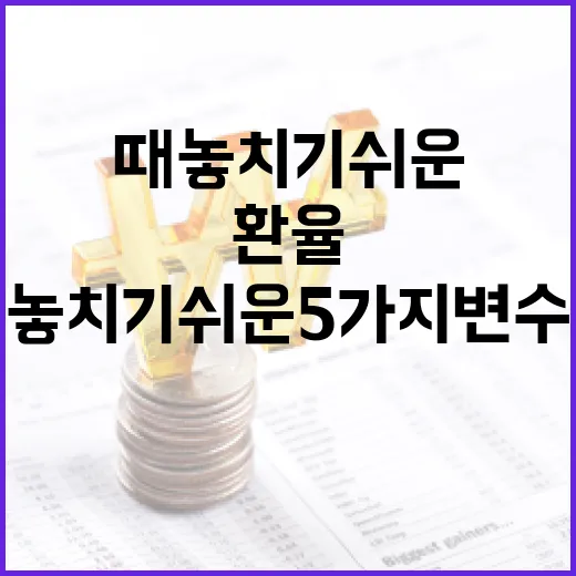 바트환율을 볼 때 놓치기 쉬운 5가지 변수 - 요약