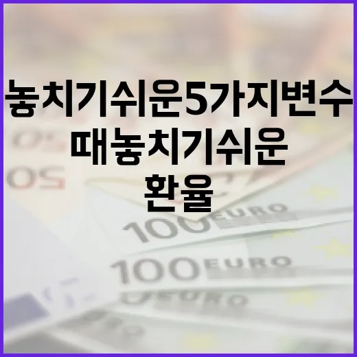 중국환율을 볼 때 놓치기 쉬운 5가지 변수 - 요약