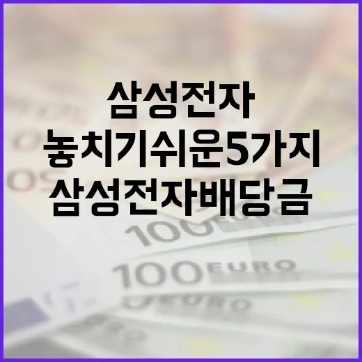 삼성전자배당금 볼 때 놓치기 쉬운 5가지 숫자 - 요약