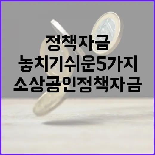 소상공인정책자금 볼 때 놓치기 쉬운 5가지 판단 기준 - 요약