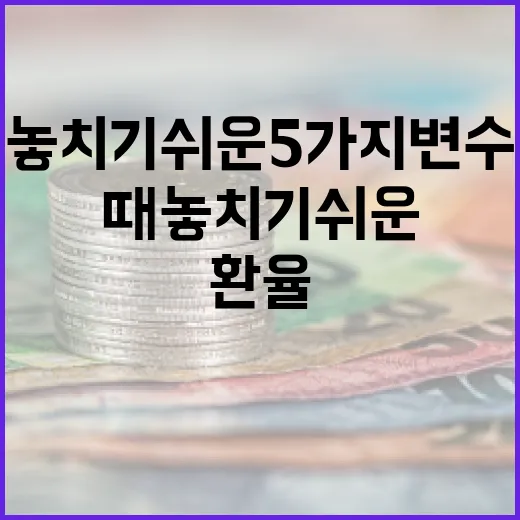 베트남환율을 볼 때 놓치기 쉬운 5가지 변수 - 요약