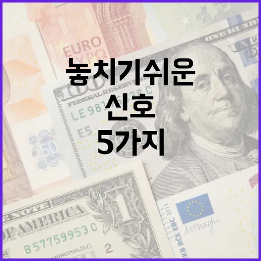 실시간환율을 볼 때 놓치기 쉬운 5가지 신호 - 요약