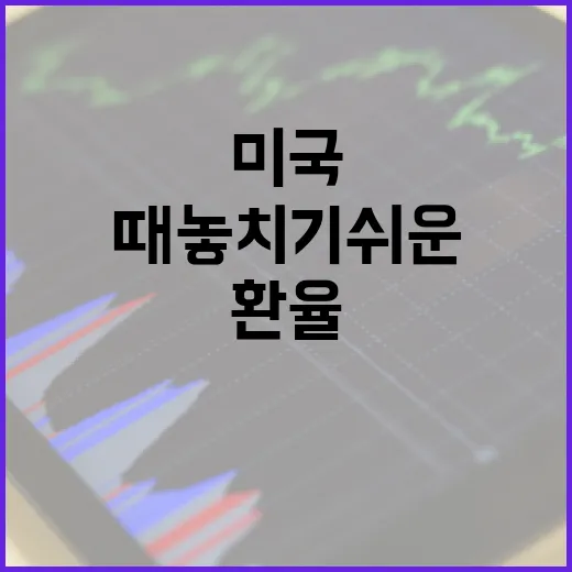 미국환율을 볼 때 놓치기 쉬운 5가지 변수 - 요약