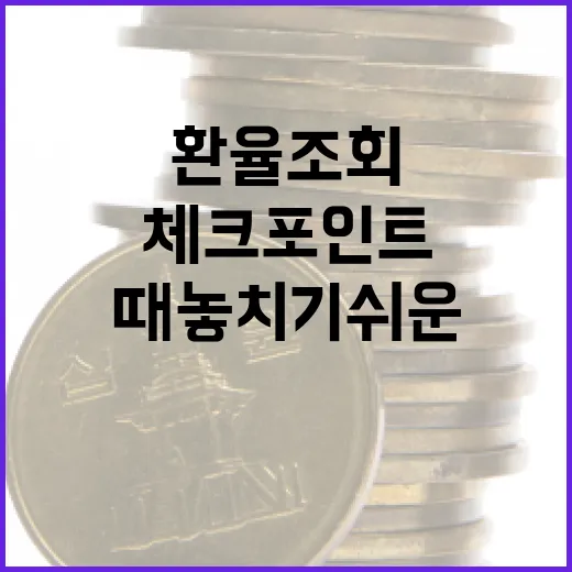 환율조회할 때 놓치기 쉬운 5가지 체크포인트 - 요약