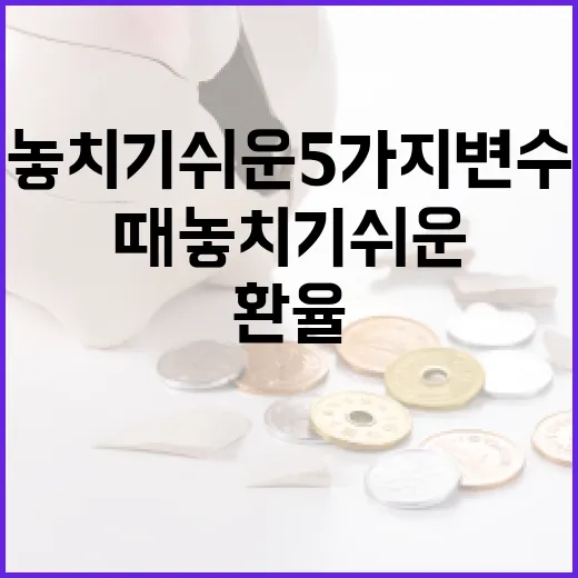 베트남환율을 볼 때 놓치기 쉬운 5가지 변수 - 요약