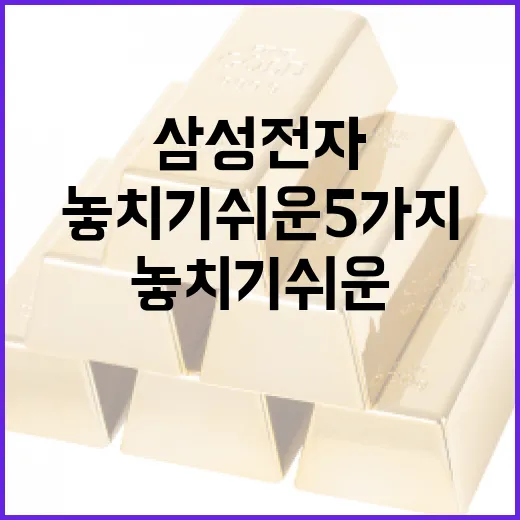 삼성전자배당금 볼 때 놓치기 쉬운 5가지 기준 - 요약