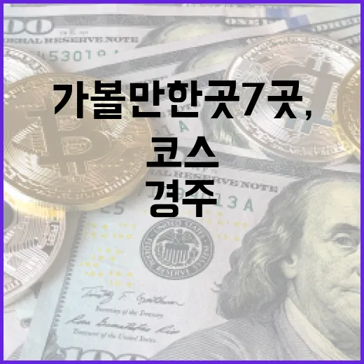 경주가볼만한곳 7곳, 처음 가도 동선이 편한 하루 코스 - 요약
