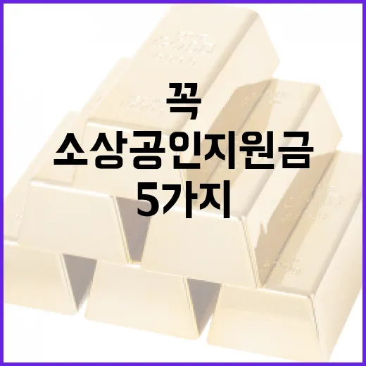 소상공인지원금 판단할 때 꼭 보는 5가지 기준 - 요약