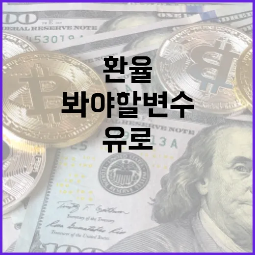 유로 흐름을 읽는 5가지 기준: 환율보다 먼저 봐야 할 변수들 - 요약