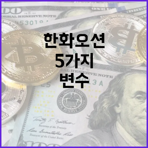 한화오션을 볼 때 놓치기 쉬운 5가지 숫자와 변수 - 요약