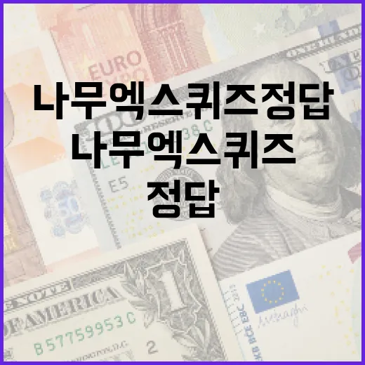 나무엑스 퀴즈정답 확인 전 봐야 할 5가지 기준 - 요약