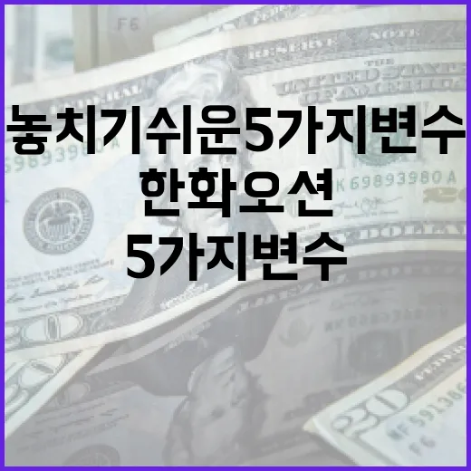한화오션을 볼 때 놓치기 쉬운 5가지 변수 - 요약