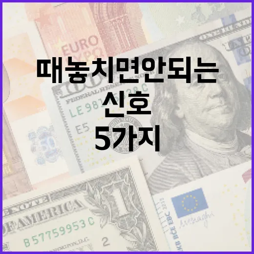 베트남환율을 볼 때 놓치면 안 되는 5가지 신호 - 요약