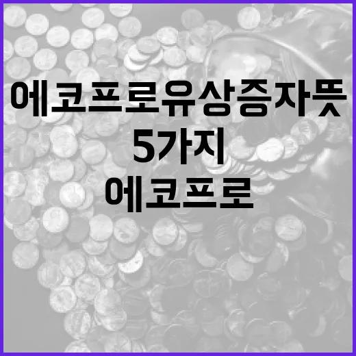 에코프로 유상증자 뜻을 이해하는 5가지 판단 기준 - 요약