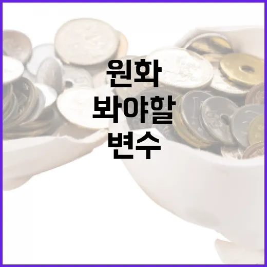 호주환율을 움직이는 5가지 변수와 원화 투자자가 봐야 할 구간 - 요약