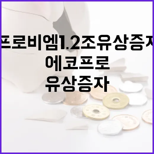 에코프로비엠 1.2조 유상증자 폭락을 보는 4가지 포인트 - 요약