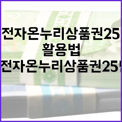 삼성전자 온누리상품권 25만원, 체감가치 높이는 5가지 활용법 - 요약