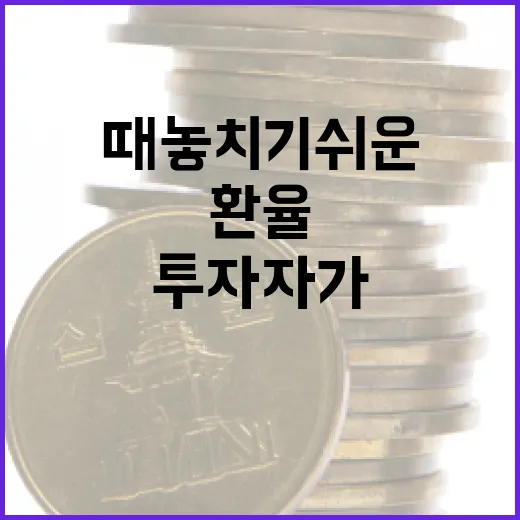 김혜숙 투자자가 환율과 증시를 함께 볼 때 놓치기 쉬운 5가지 신호 - 요약