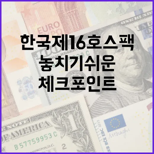 한국제16호스팩 볼 때 놓치기 쉬운 5가지 체크포인트 - 요약