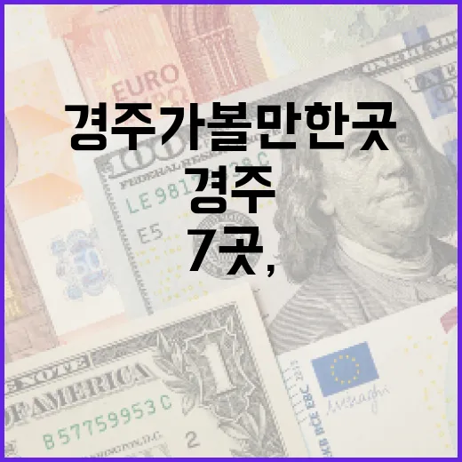 경주가볼만한곳 7곳, 하루 동선으로 보는 현실적인 선택지 - 요약
