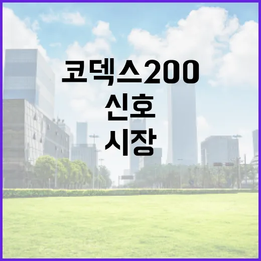 코덱스200을 보기 전 확인할 5가지 시장 신호 - 요약