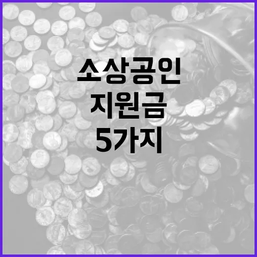 소상공인지원금 확인 전 봐야 할 5가지 기준 - 요약