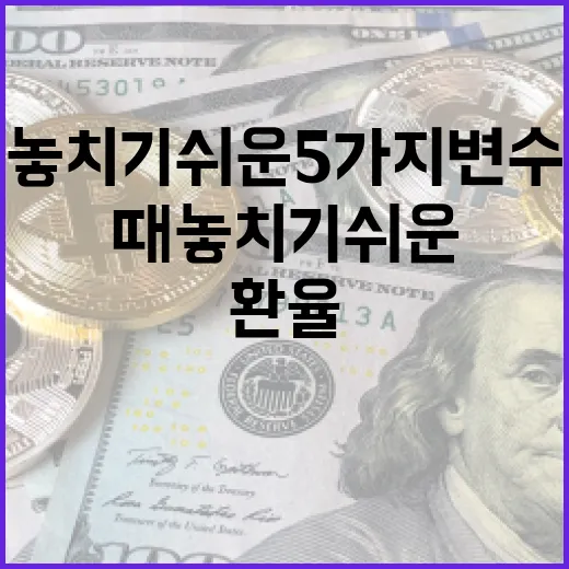 대만환율을 볼 때 놓치기 쉬운 5가지 변수 - 요약