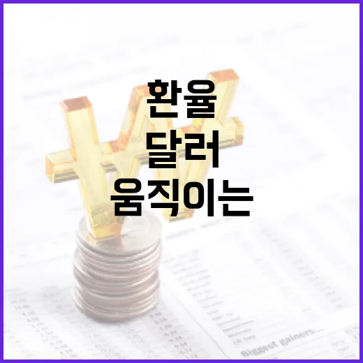 유로 환율을 움직이는 5가지 변수, 달러만 보면 놓치는 것들 - 요약