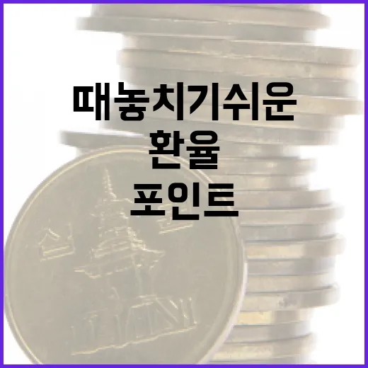 홍콩환율을 볼 때 놓치기 쉬운 5가지 포인트 - 요약