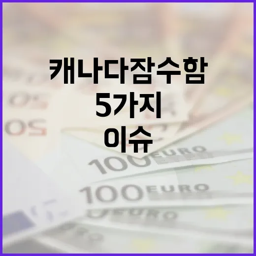 캐나다 잠수함 이슈를 읽는 5가지 관전 포인트 - 요약