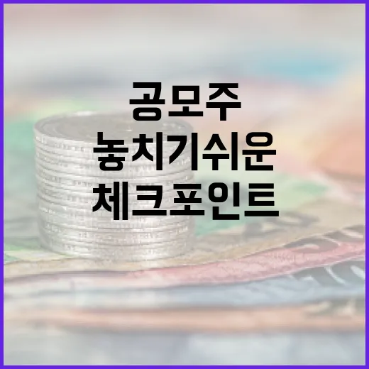 공모주일정 볼 때 놓치기 쉬운 5가지 체크포인트 - 요약