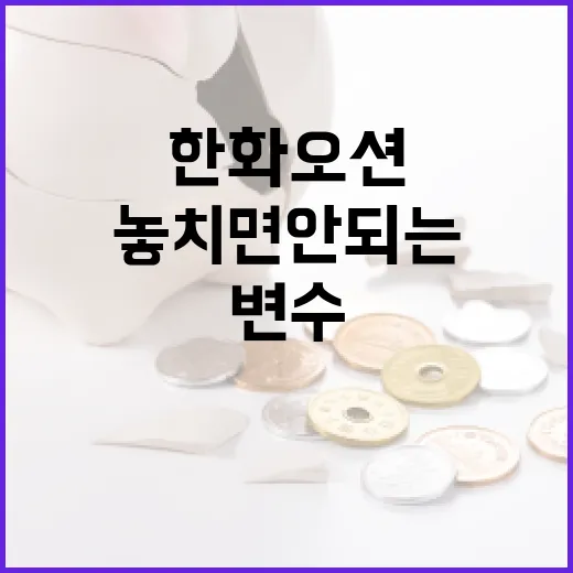 한화오션을 볼 때 놓치면 안 되는 4가지 변수 - 요약