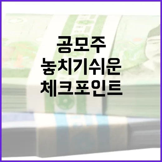 공모주일정 볼 때 놓치기 쉬운 5가지 체크포인트 - 요약