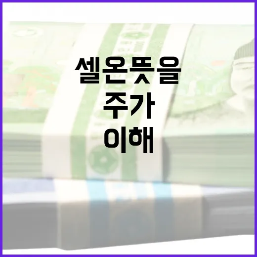 셀온 뜻을 이해하는 5가지 관점: 호재 뉴스에도 주가가 밀리는 이유 - 요약